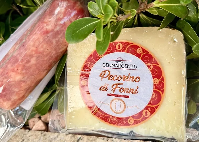 Appartamento Luxurious 1br Azulis Suite#1 In Historical Centre Olbia