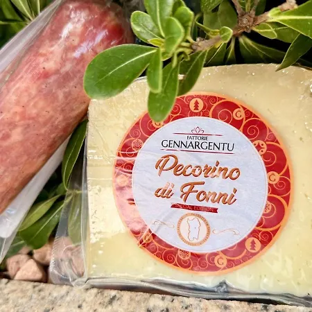 Apartamento Luxurious 1br Azulis Suite#1 In Historical Centre Olbia